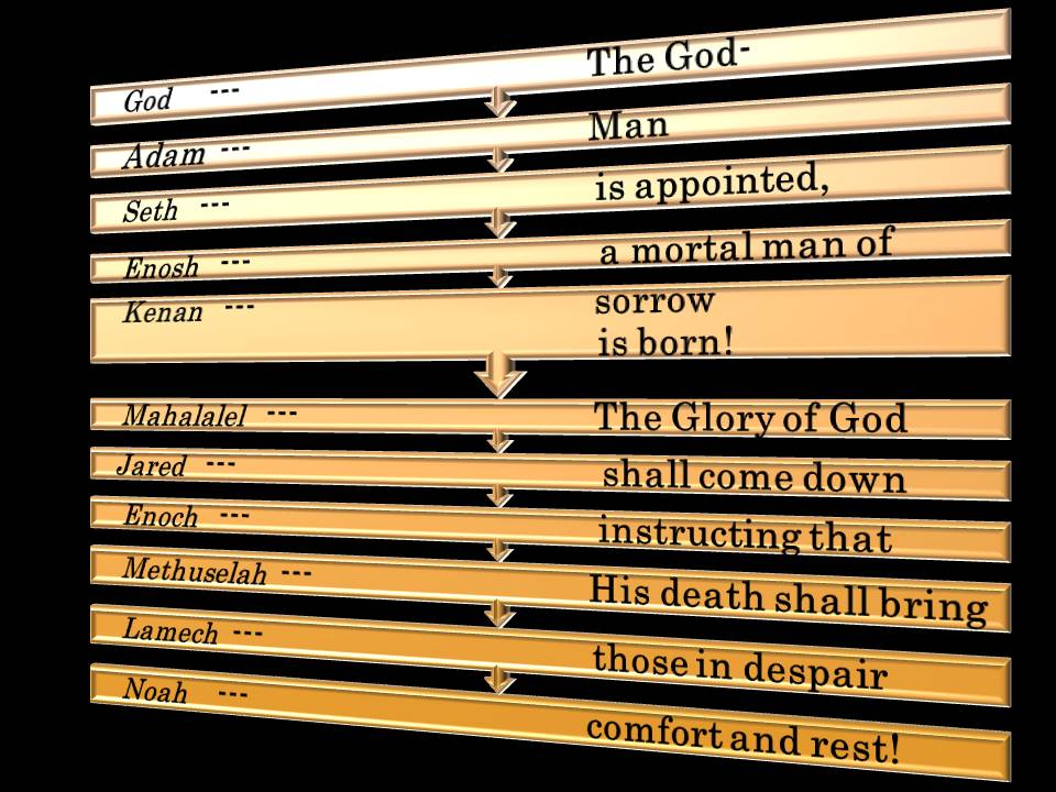 Adam To Jesus Chart