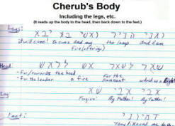 Cherub's body.