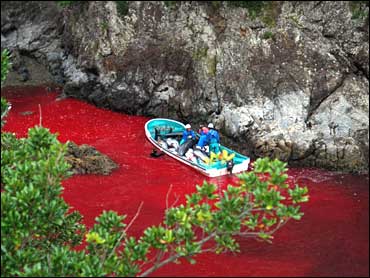 River of dolphin blood